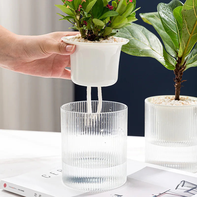 Self-Watering Mini Planter – Indoor Succulent & Hydroponic Pot