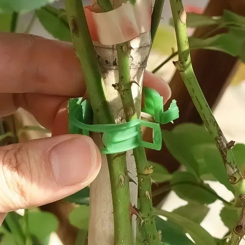 Reusable Plastic Plant Support Clips – Grafting & Vine Protection for Tomatoes & Vegetables