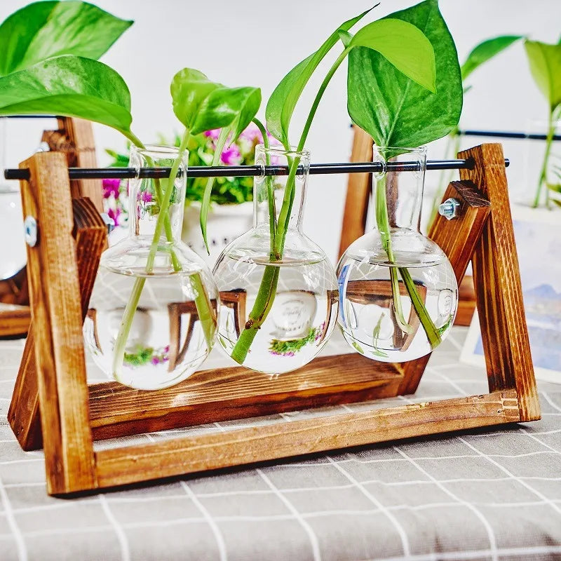 Tabletop Glass Planter – Hydroponic Propagation Station with Wooden Rack for Home Decor