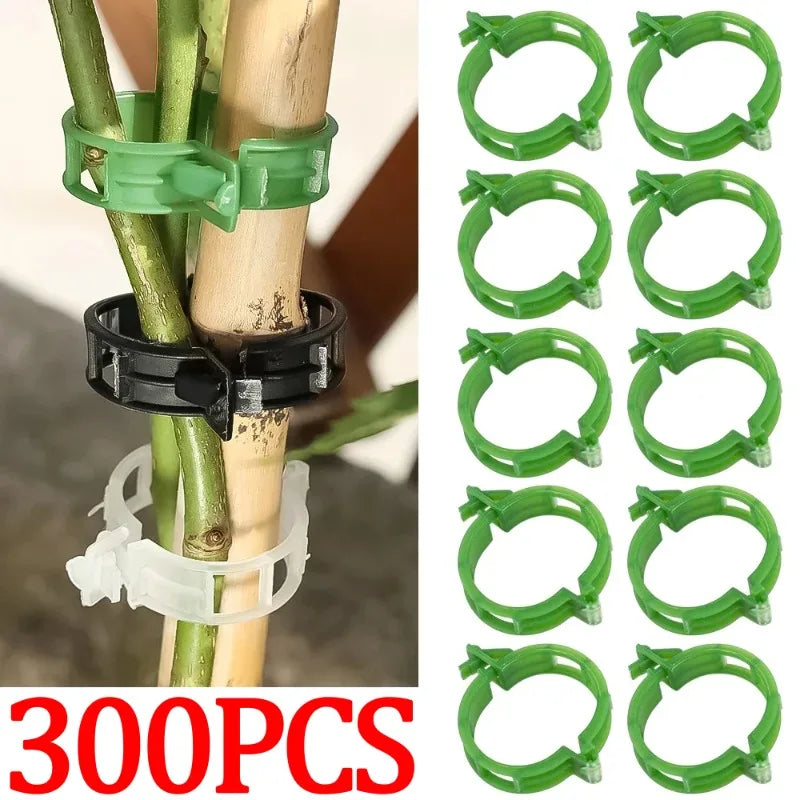 Reusable Plastic Plant Support Clips – Grafting & Vine Protection for Tomatoes & Vegetables