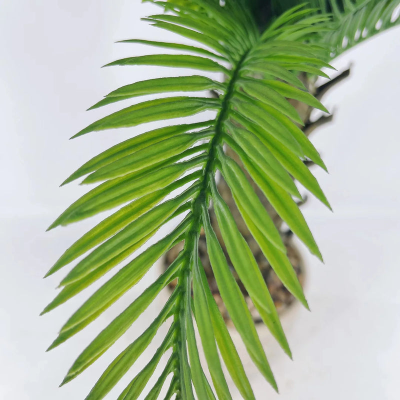 HXGYZP Artificial Coconut Tree / Plant Tropical Palm Tree / Bonsai Decoration for Home Office Indoor Outdoor 50cm 70cm