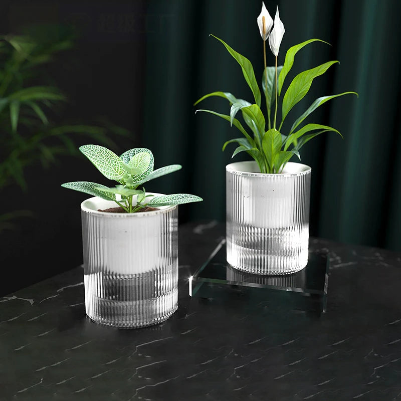 Self-Watering Mini Planter – Indoor Succulent & Hydroponic Pot