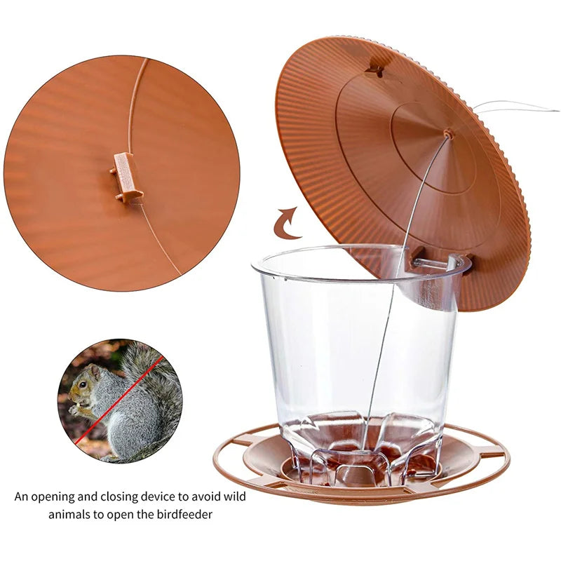 Bird Feeder , Hanging Feeding,, Multiple Hole Dispenser Seed Container