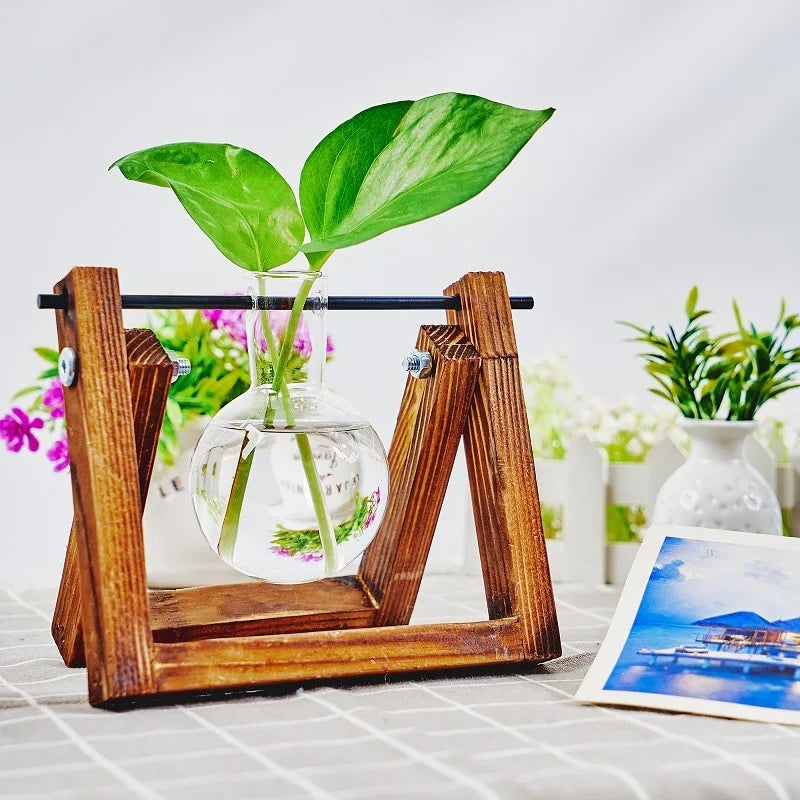 Tabletop Glass Planter – Hydroponic Propagation Station with Wooden Rack for Home Decor