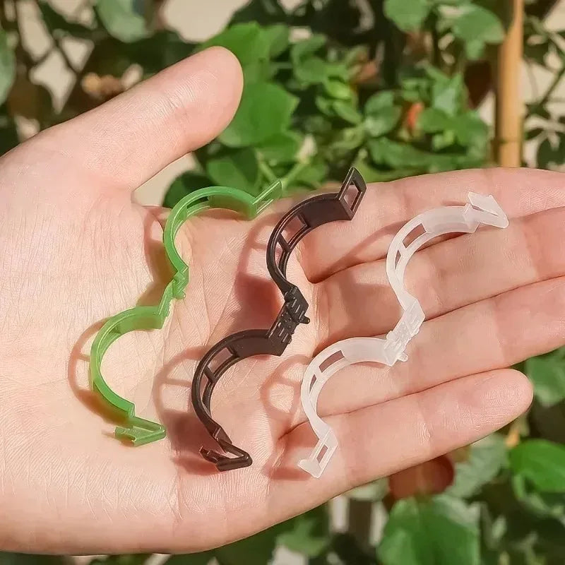 Reusable Plastic Plant Support Clips – Grafting & Vine Protection for Tomatoes & Vegetables