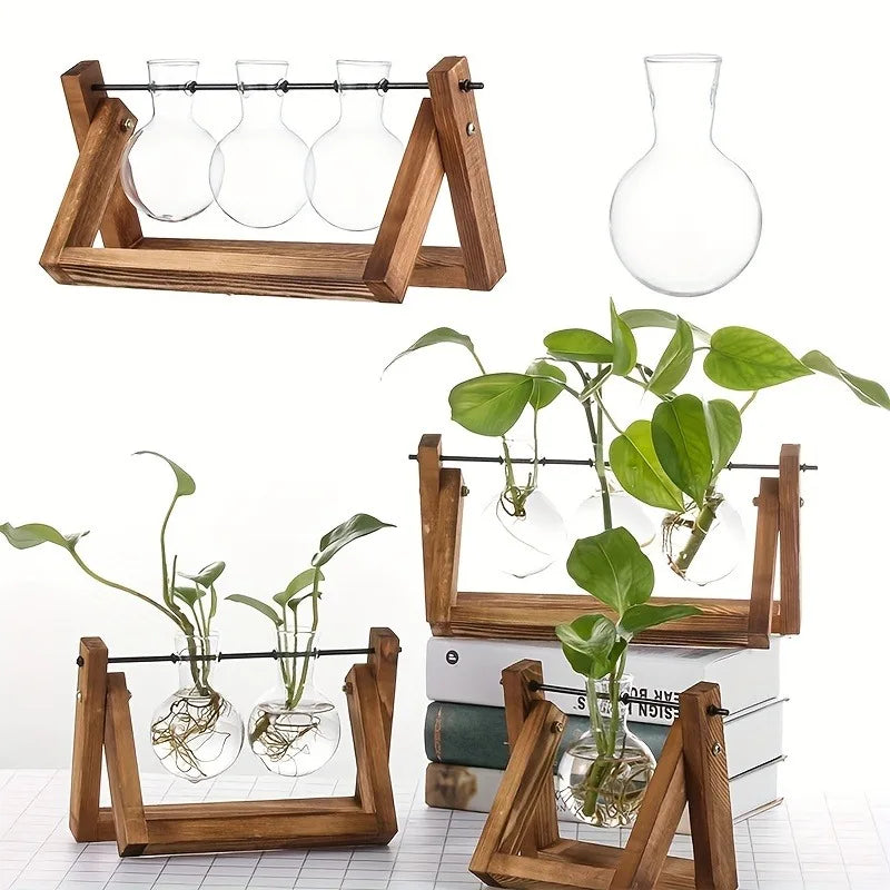 Tabletop Glass Planter – Hydroponic Propagation Station with Wooden Rack for Home Decor