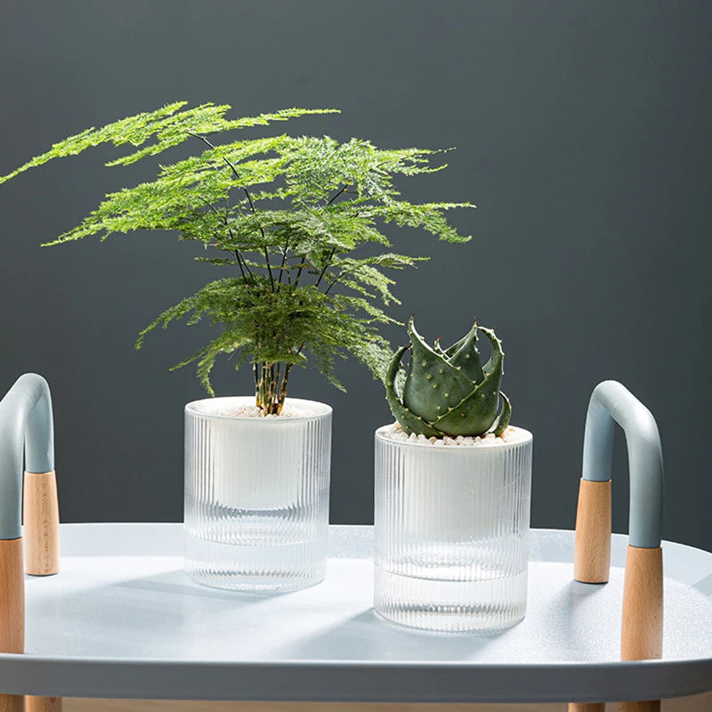 Self-Watering Mini Planter – Indoor Succulent & Hydroponic Pot
