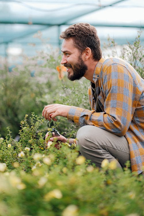 10 Easy-Care Indoor Plants for Beginners