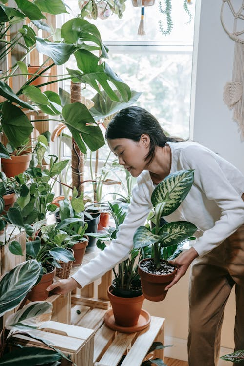 Gardening Essentials