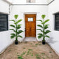 Large Artificial Palm Plant15Leaf - Perfect choice for home and office decoration，Indoor and outdoor use，Not including the basin