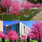 Artificial Peach Tree for Christmas, Simulation Cherry Tree, Outdoor Garden, Large Wishing Peach Tree, Wedding Center Decoration