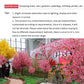 Artificial Peach Tree for Christmas, Simulation Cherry Tree, Outdoor Garden, Large Wishing Peach Tree, Wedding Center Decoration