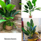 1pc Large Artificial Areca Palm Plant In Pot Plant Faux Tropical Plants Tall Table Palm Tree Home Office Decoration Floor Decor