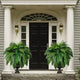 2Pcs Large Artificial Fern Tropical Palm Plants Porch Decorative Persian Fake Flowers Wall Hanging Palm Tree for Outdoor Decor