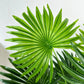 55-110CM Artificial Palm Plant Branch Faux Plant Monstera large leaf Ornament indoor fake Plant for Home Office Room Decoration