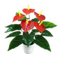 35/50CM Artificial Red Palm New Big Herb Plant Plastic Simulation Anthurium Artificial Palm Fronds Living Room Bedroom Decor