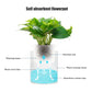 Self-Watering Mini Planter – Indoor Succulent & Hydroponic Pot