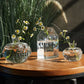 Transparent Angel Hydroponic Vase – Elegant Glass Flowerpot for Home & Desk Decor