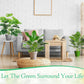 1pc Large Artificial Areca Palm Plant In Pot Plant Faux Tropical Plants Tall Table Palm Tree Home Office Decoration Floor Decor