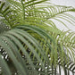 Large Artificial Coconut Tree Fake Palm for Outdoor Indoor Decor Hawaiian Simulation Plant
