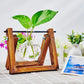 Tabletop Glass Planter – Hydroponic Propagation Station with Wooden Rack for Home Decor
