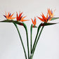 Large Bird of Paradise Artificial Tropical Flower Faux Heaven Bird Plant for Home Office Garden Decor Flower Arrangement