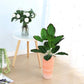 32" Artificial Bird of Paradise Plants 18 Leaves Faux Banana Tree Tropical Turtle Large Palm Leaf Fern Bushes Shrubs