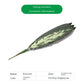 10PCS Palm Artificial Plants Leaves Decorations Faux Large Tropical Palm Leaves for Home Kitchen Party Flowers Wedding Decor