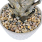 HXGYZP Artificial Coconut Tree / Plant Tropical Palm Tree /  Bonsai Decoration for Home Office Indoor Outdoor 50cm 70cm