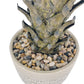 HXGYZP Artificial Coconut Tree / Plant Tropical Palm Tree /  Bonsai Decoration for Home Office Indoor Outdoor 50cm 70cm