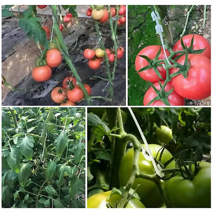 50/100pcs Tomato Support Hooks – Plant Clips for Stronger, Healthier Growth