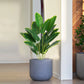 1pc Artificial Plants Large Tropical Palm Tree Fake Banana Plants Leaves Real Touch Plastic Monstera Simulated Plant for Home