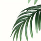 Large Artificial Palm Plant15Leaf - Perfect choice for home and office decoration，Indoor and outdoor use，Not including the basin