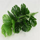 18 Forks Fake Large Artificial Monstera Plants Fake Palm Tree 50cm Plants Tree Plastic Turtle Leaves Green For Home Garden Room