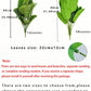 Artificial Plants Large Tropical Palm Tree Fake Banana Plants Leaves Real Touch Plastic Monstera Plant for Home Garden Decor